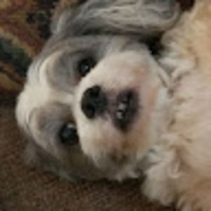 Meet your Posher, Wendy